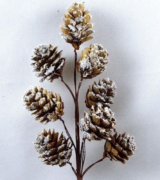 22070 - Winter frosted pine cones floral pick.  Measures  Height 240mm  ,   Width  80mm 