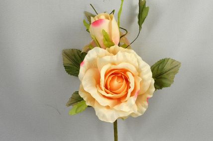 33015 - Blossoming Soft Peach roses in a lovely floral arrangement accompanied with lush green leaves. Floral Pick